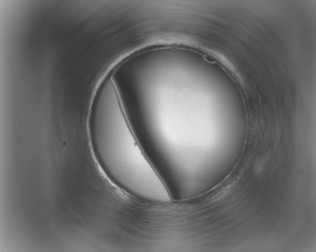 X0000076260943200609281016