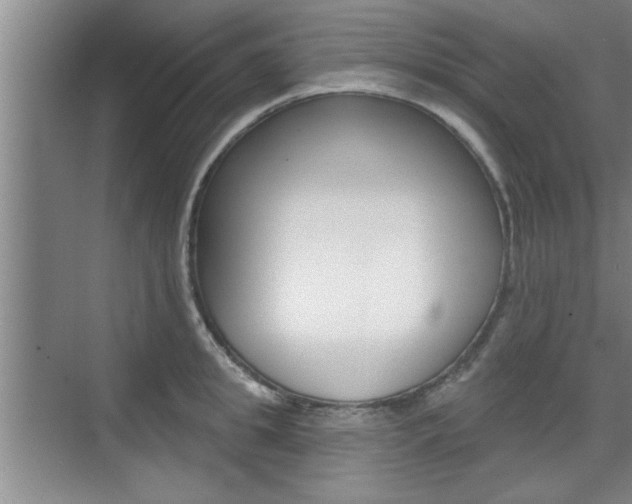 X0000076260949200609281016