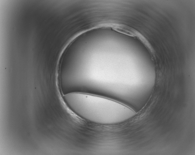 X0000076260955200609281016