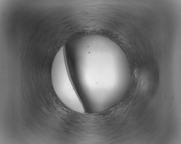 X0000076260963200609281016