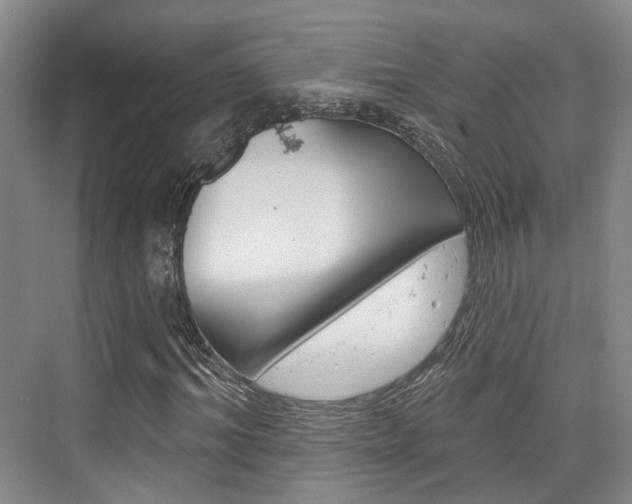 X0000076260964200609281015