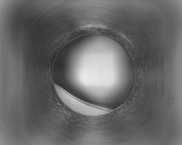 X0000076260965200609281015