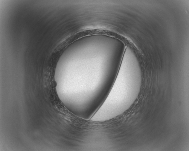 X0000076260967200609281015