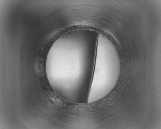 X0000076260968200609281015