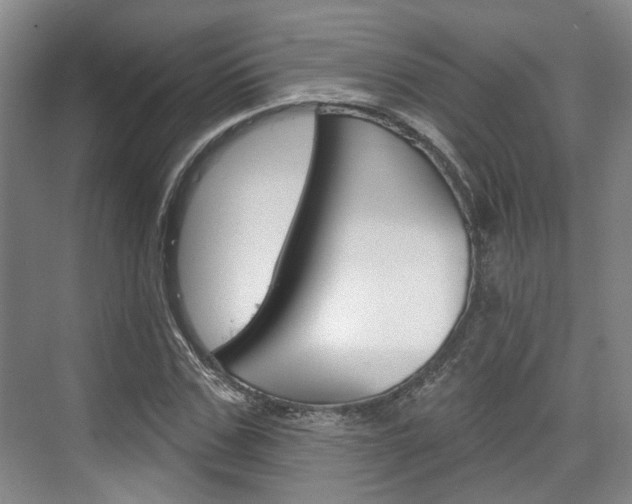 X0000076260971200609281015