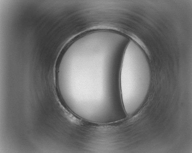 X0000076260988200609281015