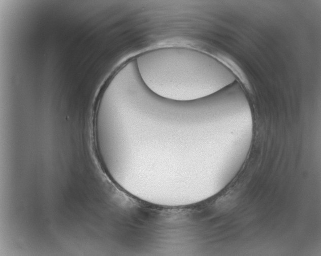 X0000076261000200609281015