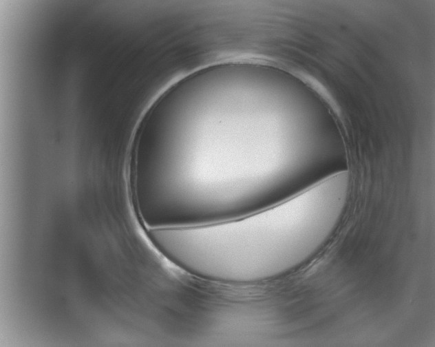X0000076261007200609281015
