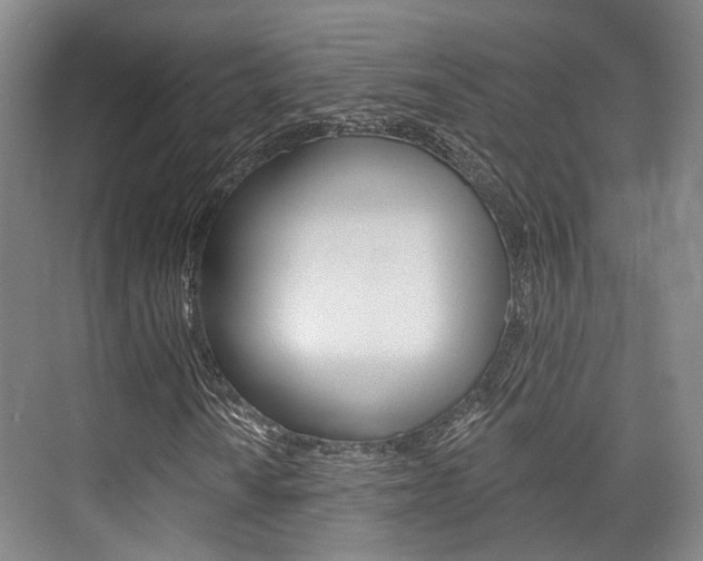 X0000076261010200609281014