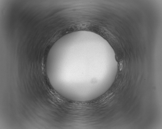 X0000076261011200609281014