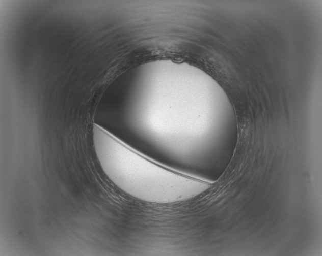X0000076261012200609281014