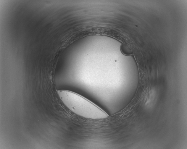 X0000076261013200609281014