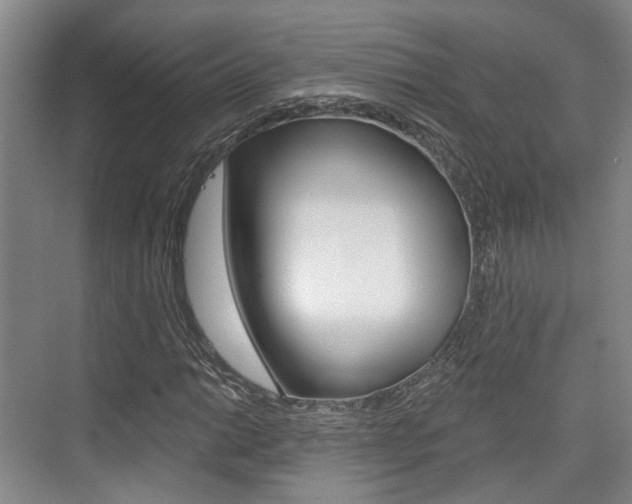 X0000076261014200609281014