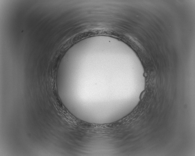 X0000076261015200609281014