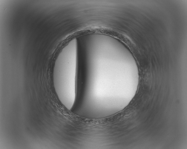 X0000076261016200609281014