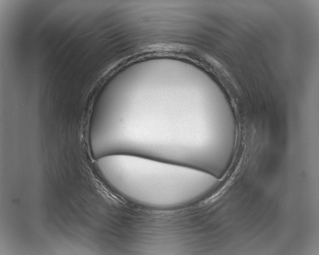 X0000076261017200609281014