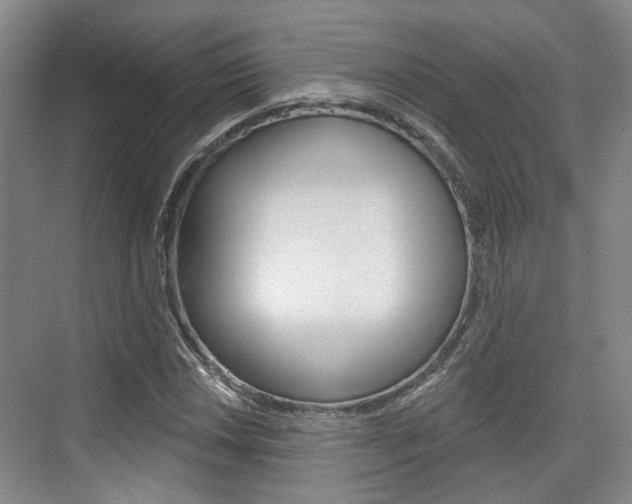 X0000076261018200609281014
