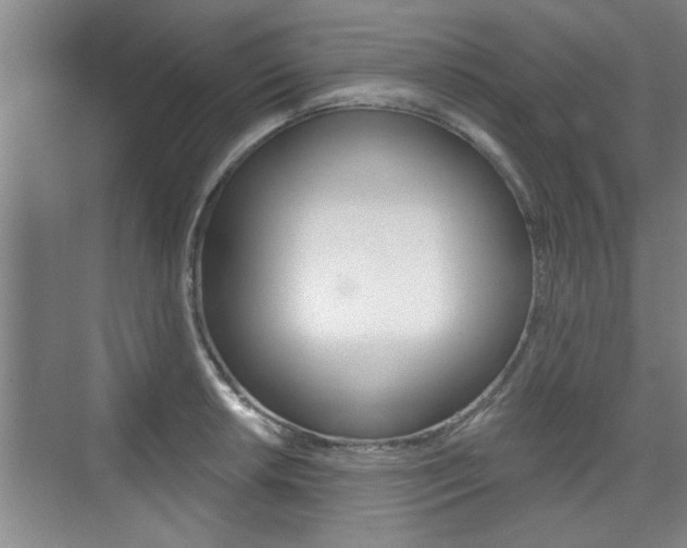X0000076261042200609281014