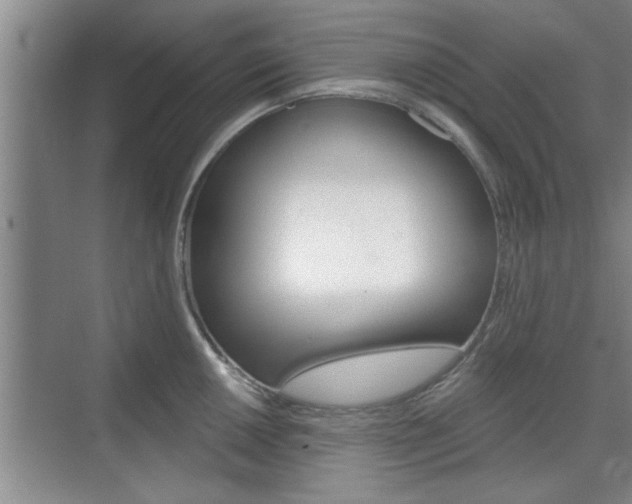 X0000076261050200609281015