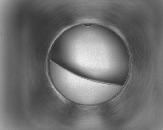 X0000076261056200609281015
