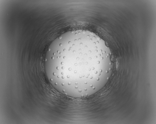 X0000076261059200609281014
