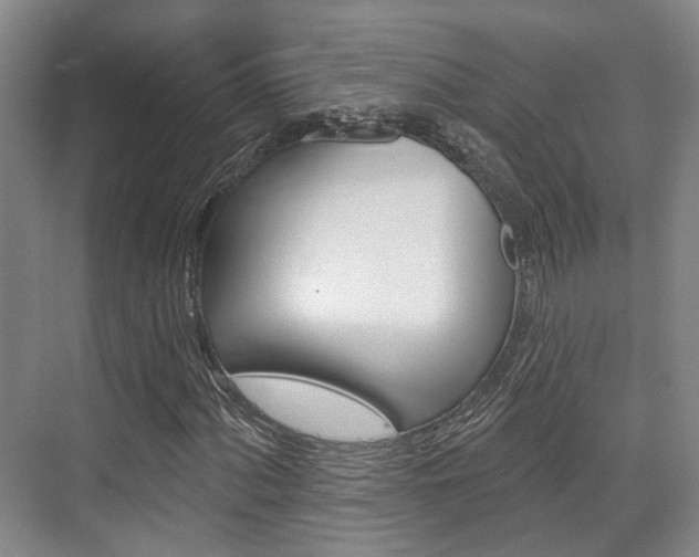 X0000076261060200609281014