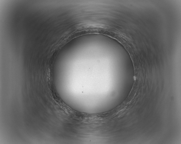 X0000076261061200609281014