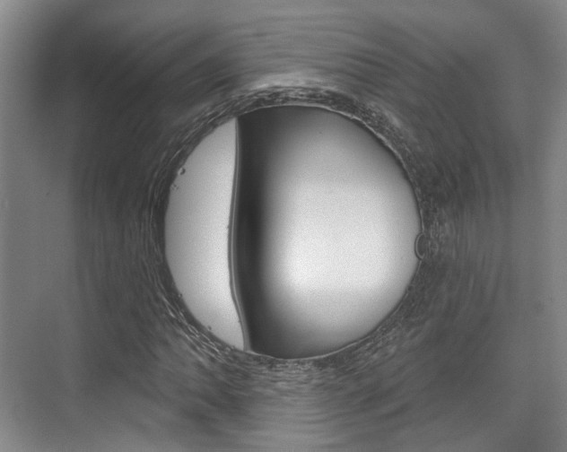 X0000076261062200609281014