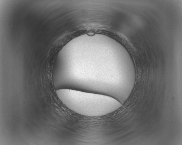 X0000076261063200609281014