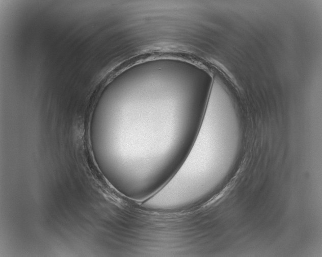 X0000076261065200609281014