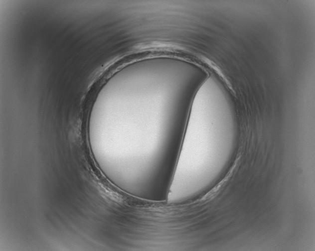 X0000076261066200609281014