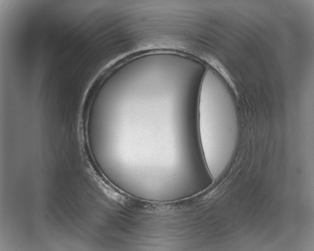 X0000076261072200609281014