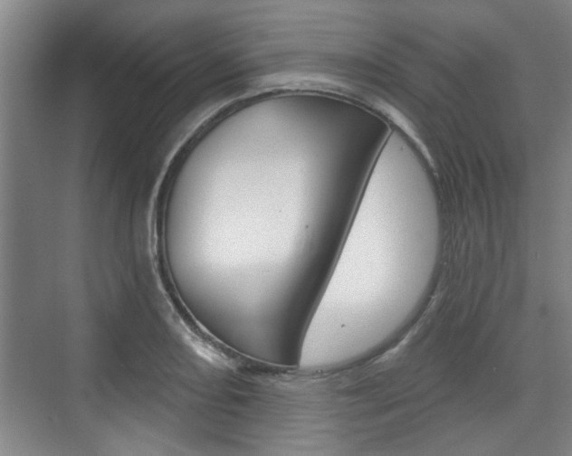 X0000076261082200609281013