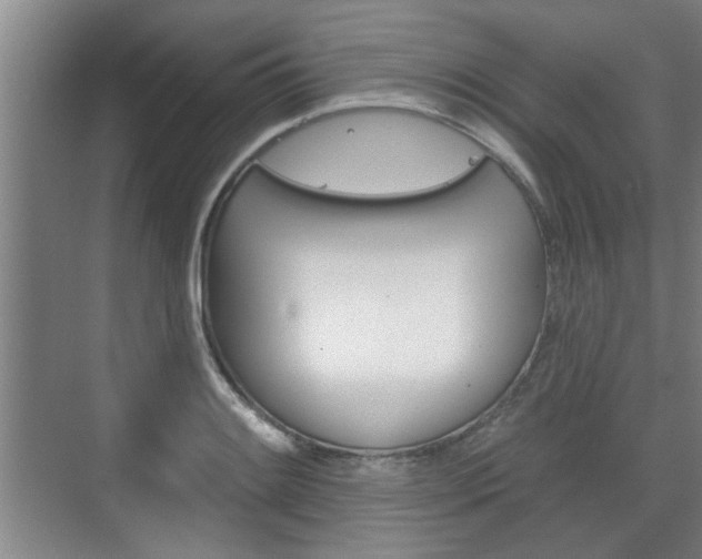 X0000076261084200609281013