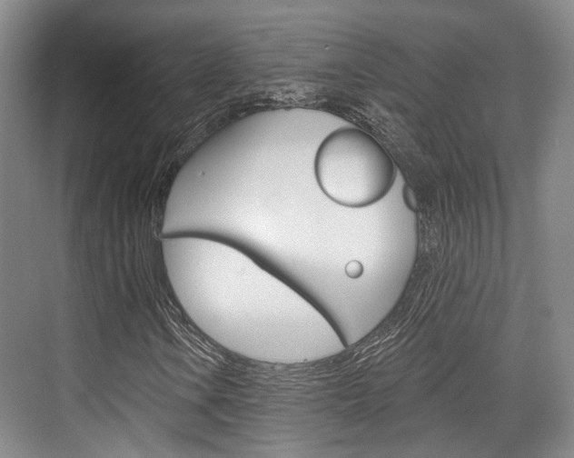 X0000076261106200609281012