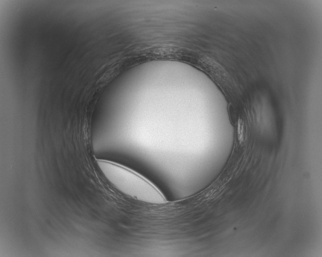 X0000076261107200609281012
