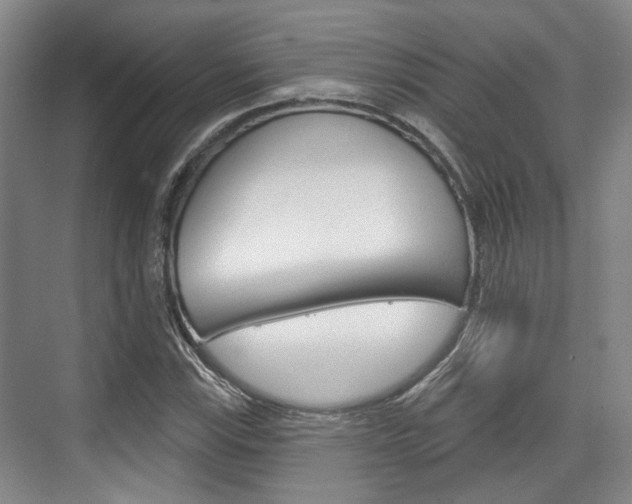 X0000076261115200609281012