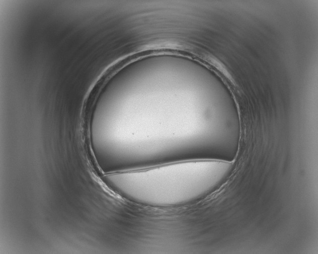 X0000076261116200609281013