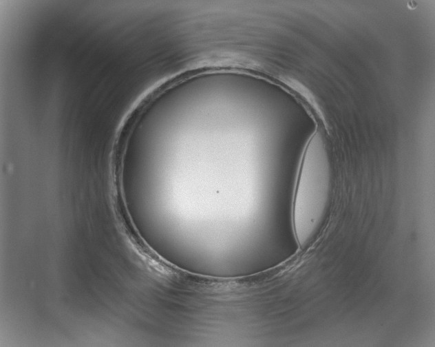 X0000076261120200609281013