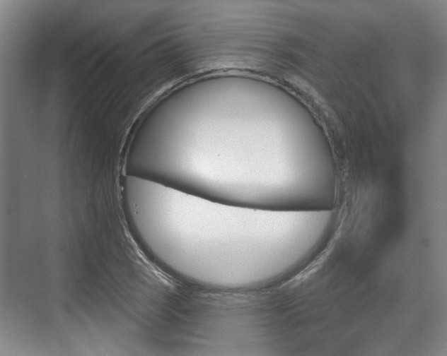 X0000076261121200609281013