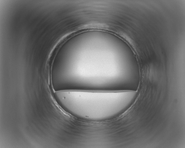 X0000076261123200609281013