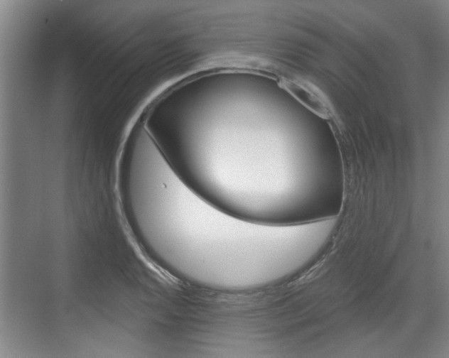 X0000076261128200609281013
