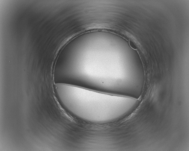 X0000076261129200609281013