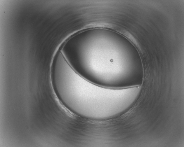 X0000076261132200609281013