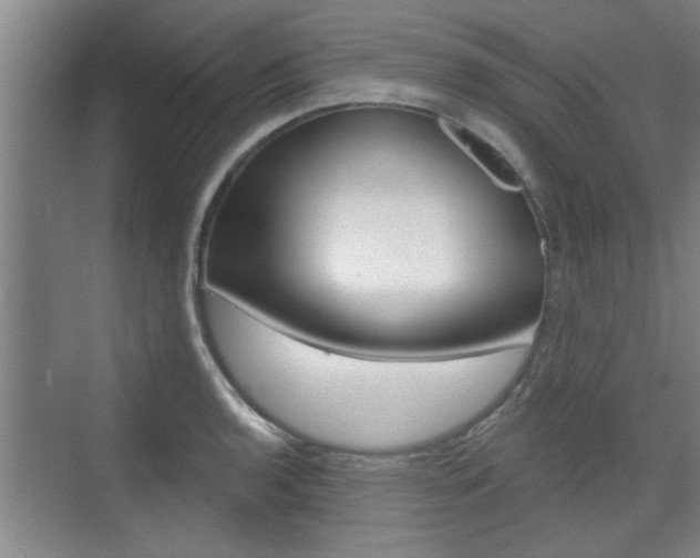 X0000076261136200609281013