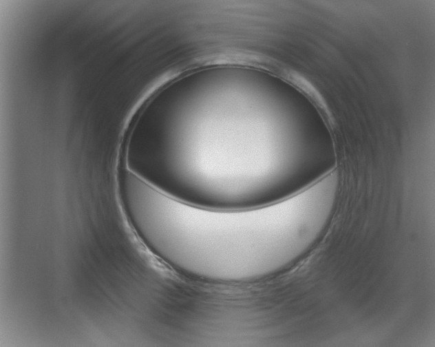 X0000076261138200609281013