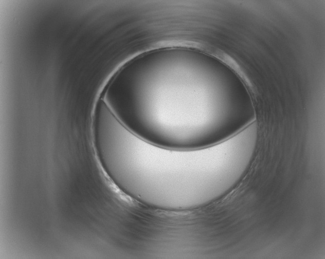 X0000076261140200609281013