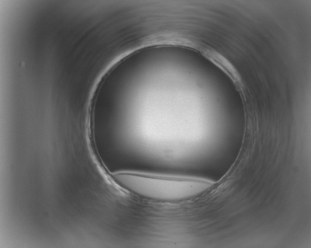 X0000076261144200609281013