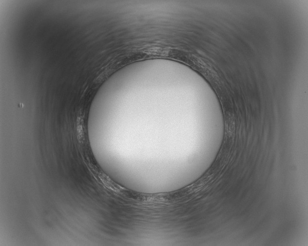 X0000076261154200609281012