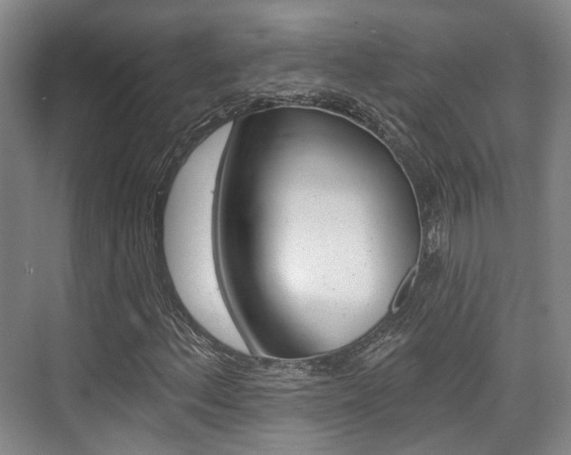 X0000076261156200609281012